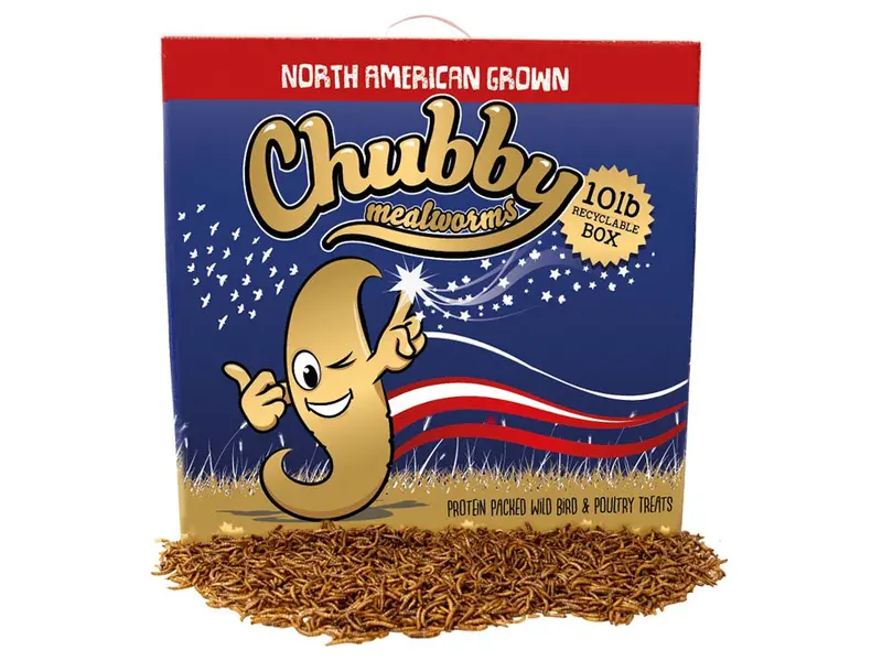 10 Lb Dried Mealworms – Sustainable Packaging, Montreal-Sourced, Certified Non-Gmo 1