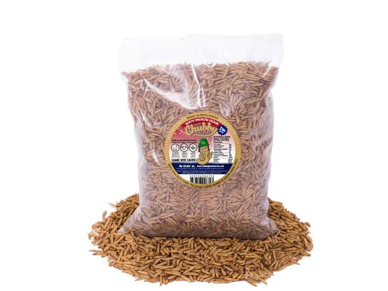 2 Lb Dried Black Soldier Fly Larvae – Locally Cultivated In Montreal, Non-Gmo Protein Source 1