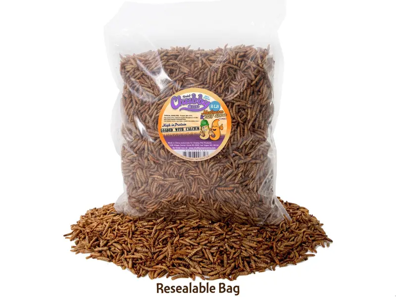 2 Lb Protein Blend: Dried Mealworms + Black Soldier Fly Larvae – Balanced Mix 1