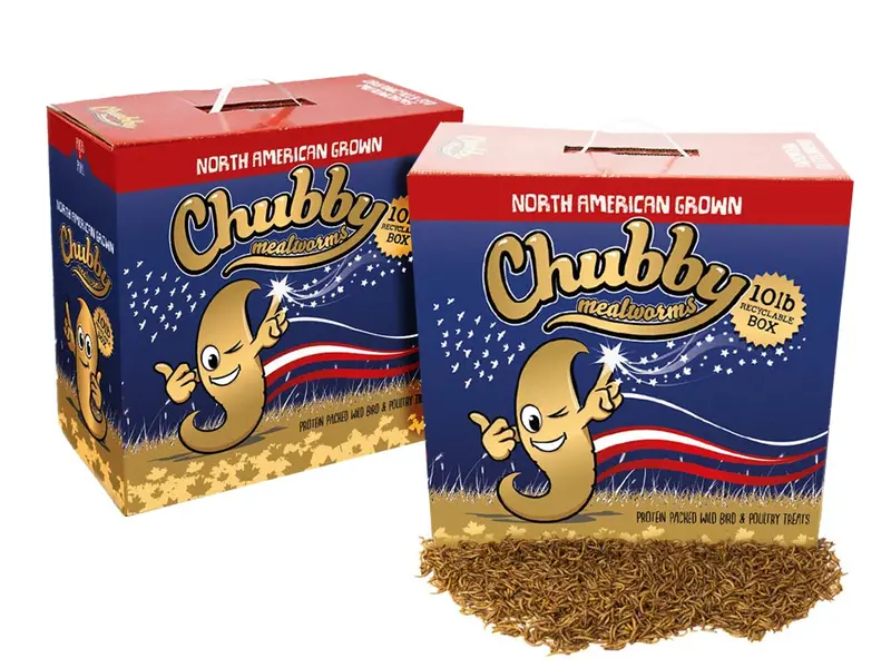20 Lb Large-Format Dried Mealworms – Recyclable Boxes, Montreal Production, Non-Gmo 1
