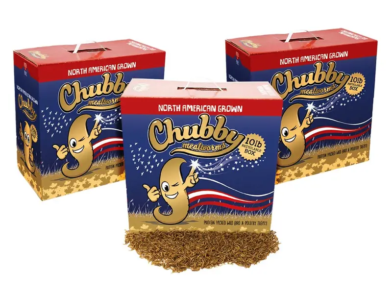 30 Lb Bulk Dried Mealworms – Eco-Friendly Recyclable Packaging, Montreal-Grown, Non-Gmo 1