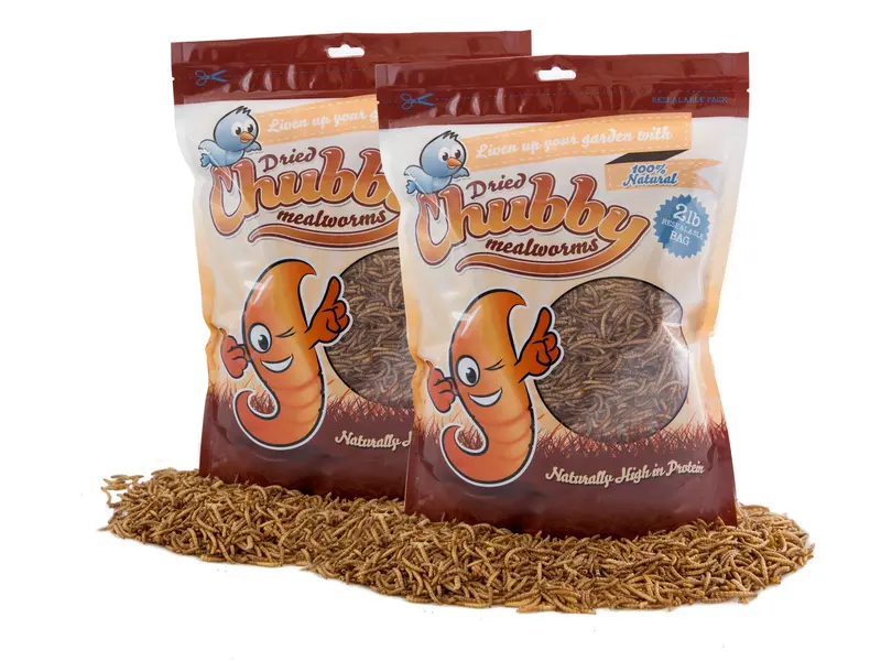 4-Pound Bag Of Chubby Dried Mealworms – Nutrient-Rich Insect Snack 1