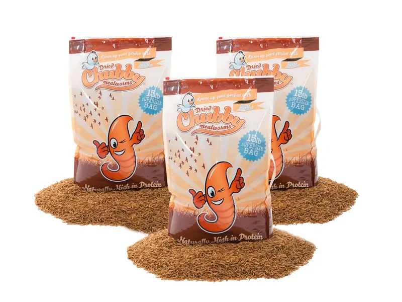 45 Lb Bulk Dried Mealworms – High-Protein Feed For Birds, Reptiles, And Insectivores 1