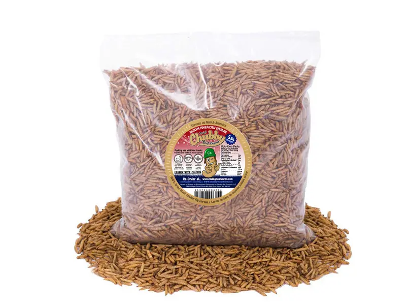 5 Lb Dried Black Soldier Fly Larvae – Canadian-Grown, Nutrient-Rich, Non-Gmo Feed 1