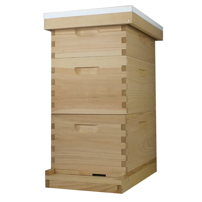 8-Frame Full Langstroth Hive Kit – Amish-Made Set With 2 Deep Brood Boxes, 1 Medium Super, Frames & Wax Foundations 1