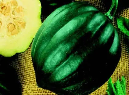 Acorn Winter Squash (Table Queen Type) Seeds 1