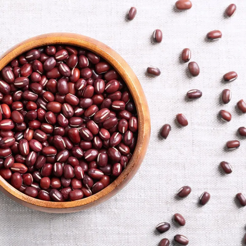 Akai Tama Adzuki Bean Seeds – Bush-Type Japanese Red Bean 1