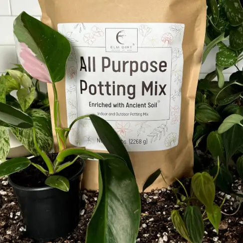 All-Purpose Organic Soil Mix – Balanced Blend For Indoor & Outdoor Plants 1