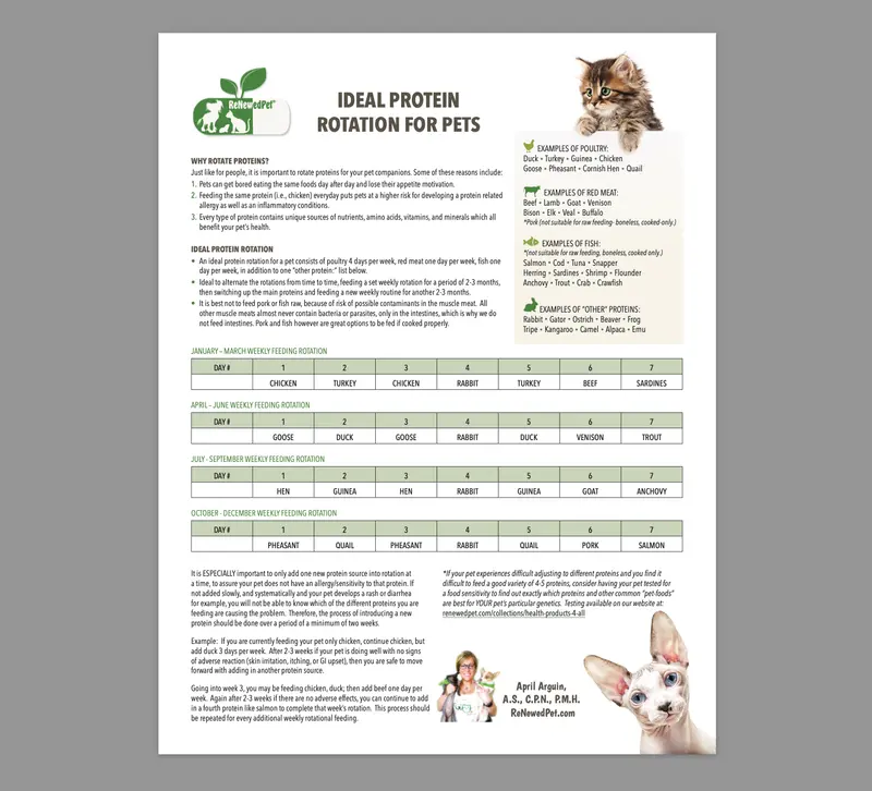 Balanced Protein Rotation Plan For Optimal Pet Nutrition 1