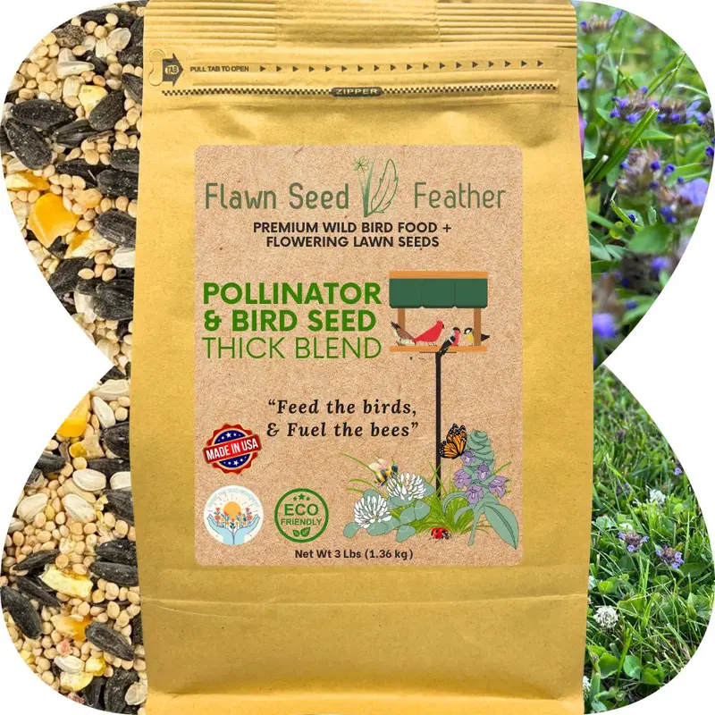 Bee-Friendly Lawn Seed Blend – Pollinator & Bird Habitat Mix 1
