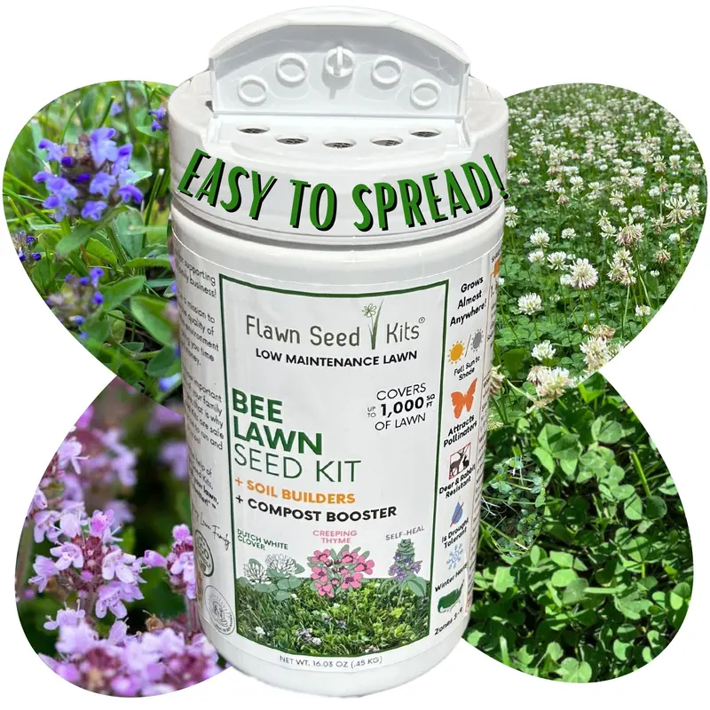 Bee Lawn Starter Seed Kit – No-Mess Shaker Dispenser 3