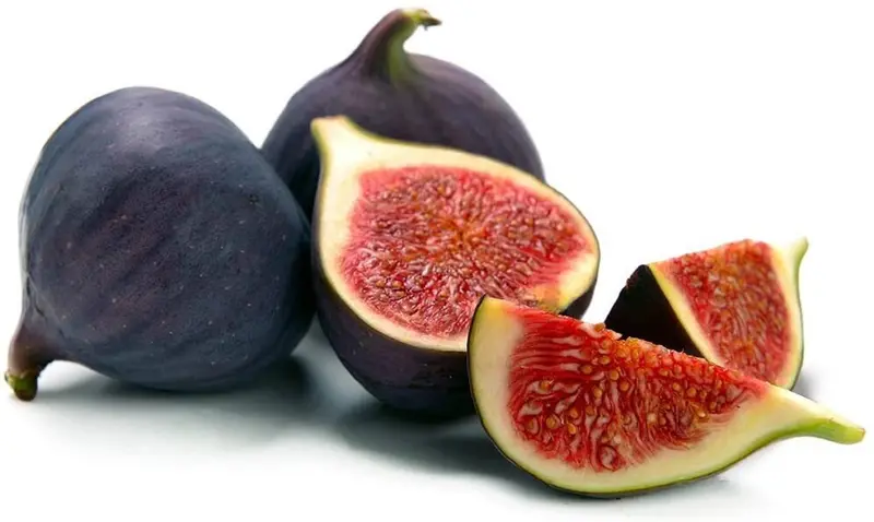 Black Mission Fig Tree – Classic Sweet-Fruited Mediterranean Variety 1