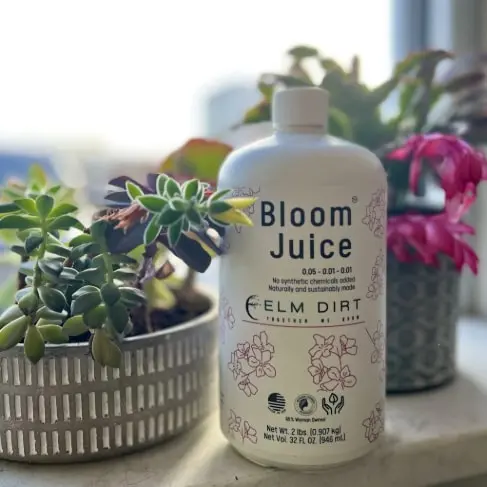 Bloom Juice Flower Enhancer – Award-Winning Liquid Formula For Spectacular Blooms 1