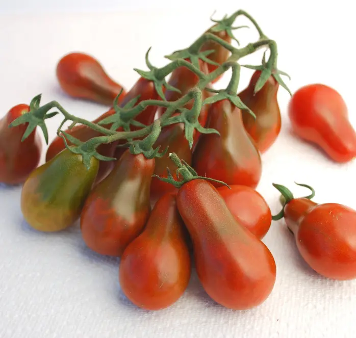 Chocolate Pear Tomato Seeds – Heirloom-Style Cherry Type 1
