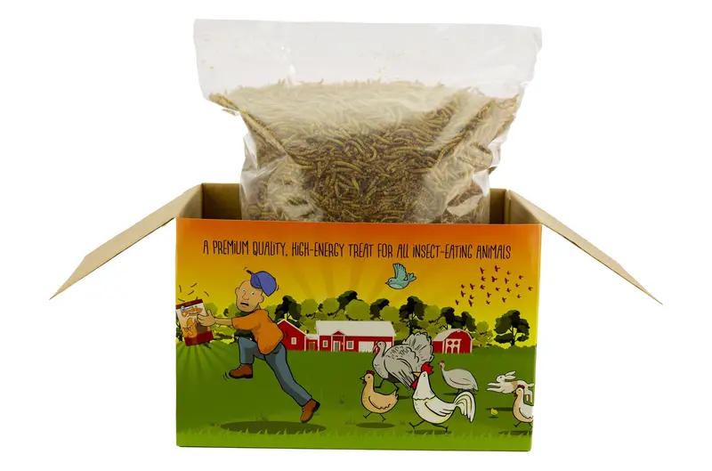 Chubby Dried Mealworms – 3 Lb Limited-Edition Coop Dreams Bag 1