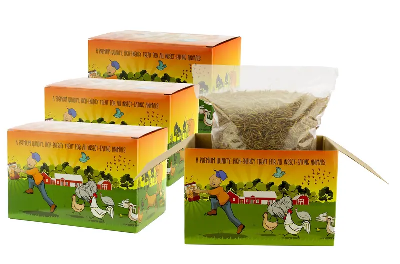 Chubby Dried Mealworms – 4 X 3 Lb Bags (12 Lbs Total), Coop Dreams Limited Edition 1
