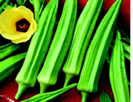 Clemson Spineless Okra Seeds 1