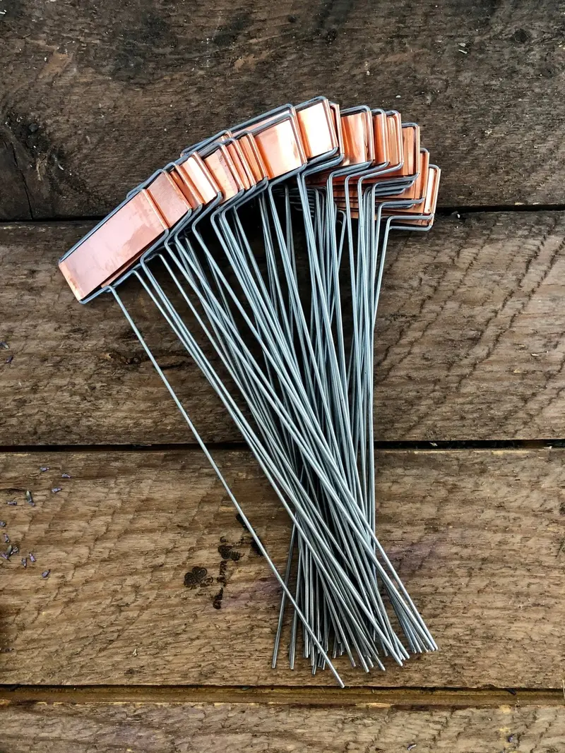 Copper Garden Plant Labels – Set Of Metal Plant Markers For Outdoor Use 1