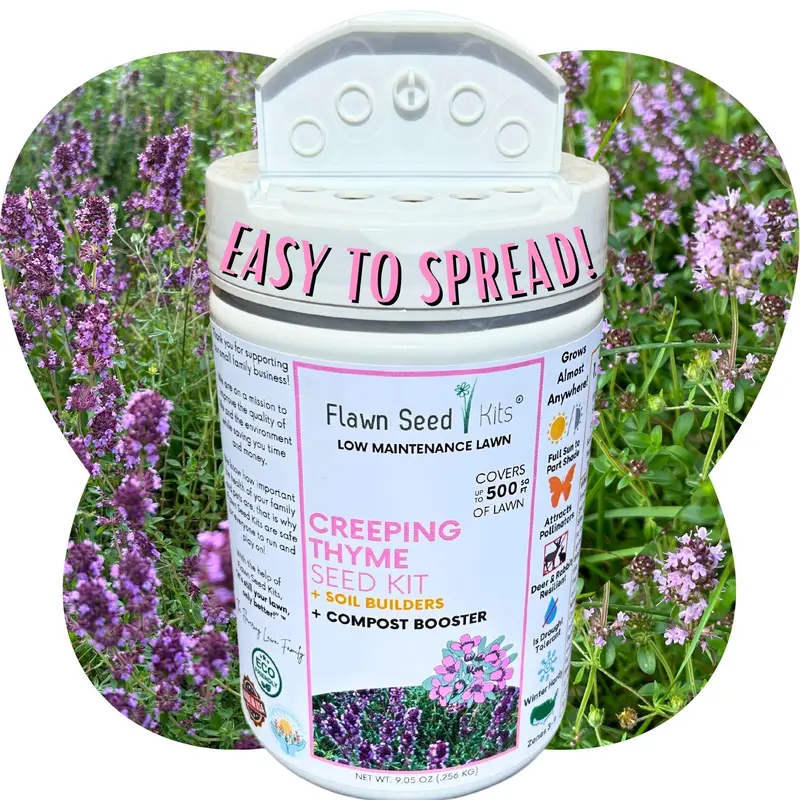 Creeping Thyme Ground Cover Seed Shaker – Easy Application 2