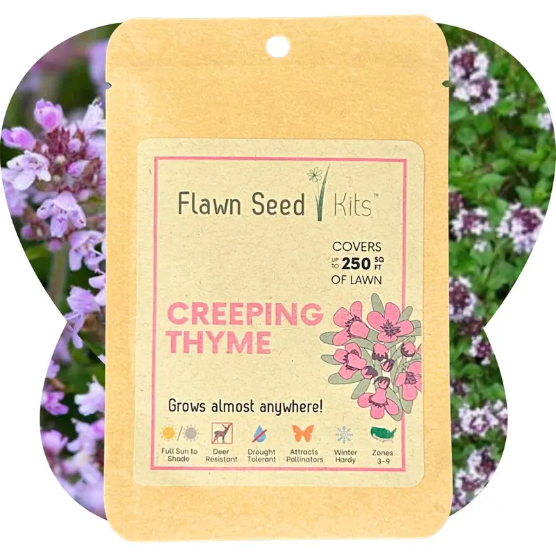 Creeping Thyme Wildflower Seed Pouch 2