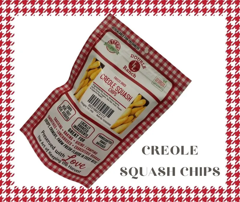 Creole-Spiced Squash Chips – Savory Vegetable Snack 1