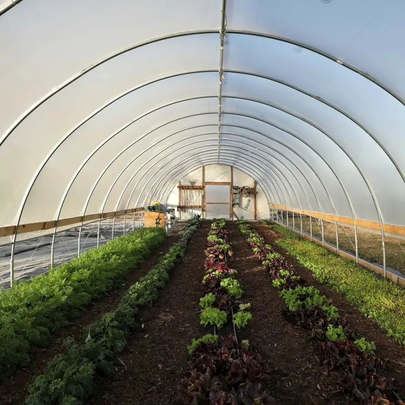 Diy 16-Foot Wide Hoop House Greenhouse Kit 1