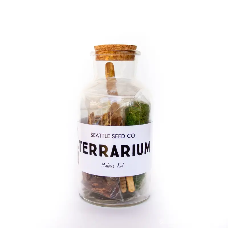 Diy Terrarium Kit — All-In-One Starter Set For Mini Indoor Ecosystems 1