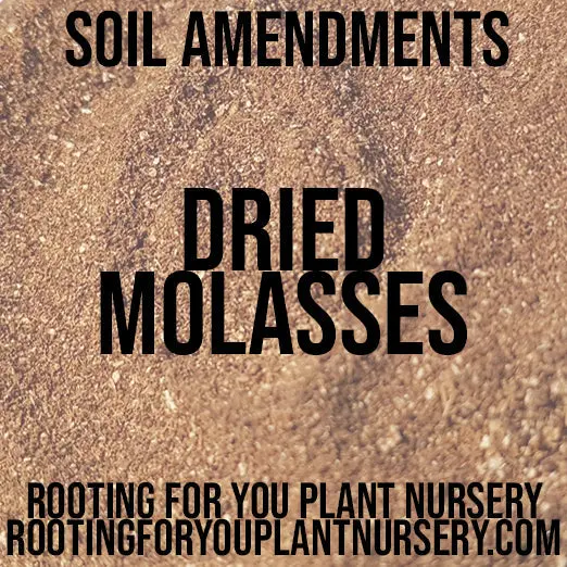 Dried Molasses Soil Conditioner – Natural Carbon Source For Microbial Life 1