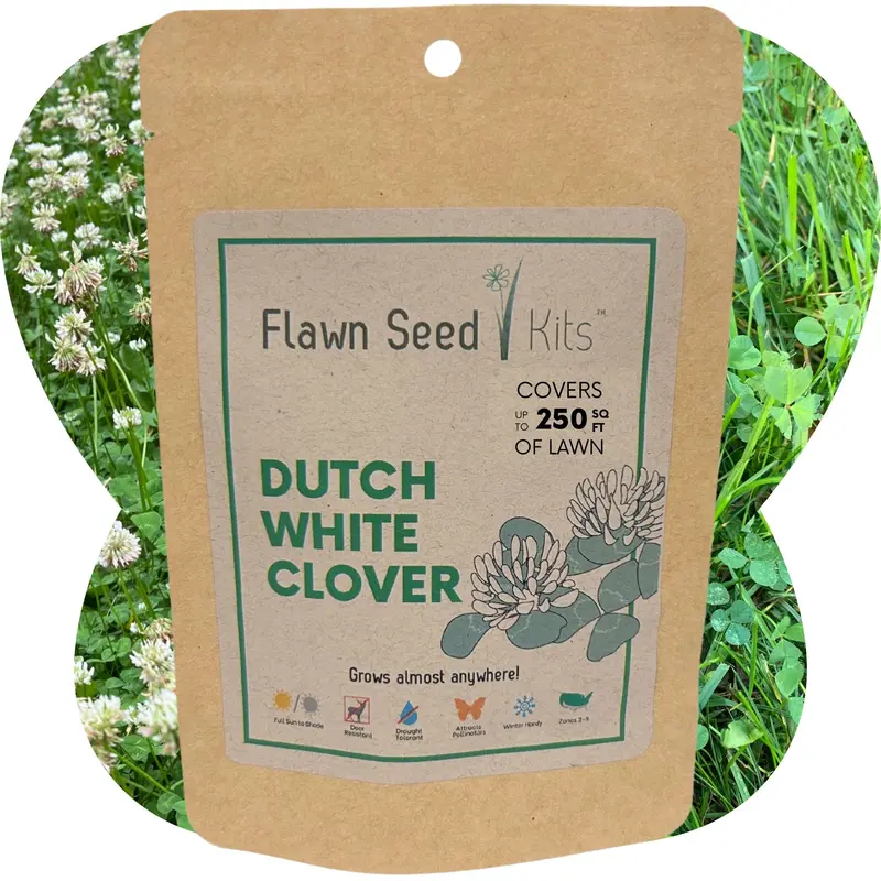 Dutch White Clover Seed – Low-Growing Ground Cover Pouch 1
