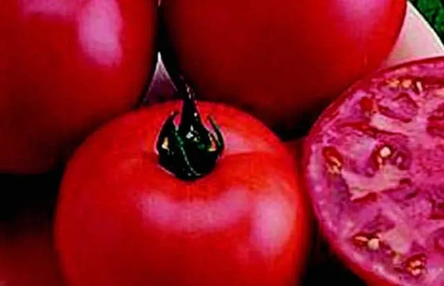 Early Boy Bush Tomato Seeds – Compact Determinate Hybrid For Containers And Small Gardens 1