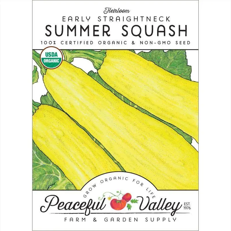 Early Straightneck Summer Squash Seeds – Organic 1