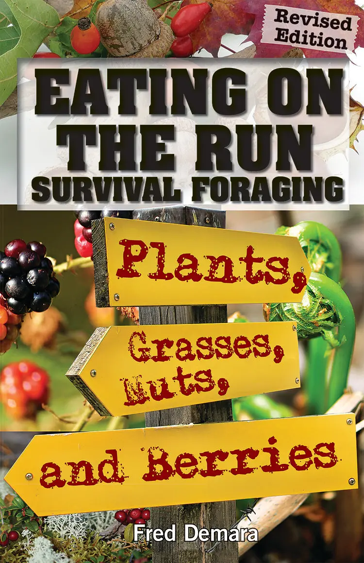 Eating On The Run: Foraging For Survival Food In The Wild 1
