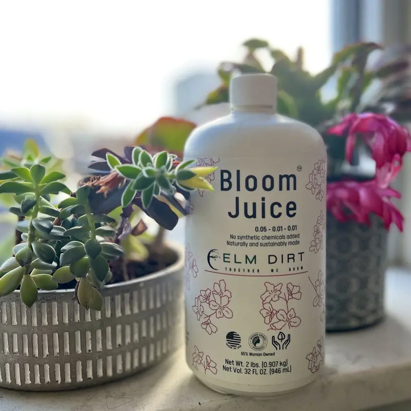 Elm Dirt Bloom Juice – Organic Flowering & Fruiting Enhancer 1