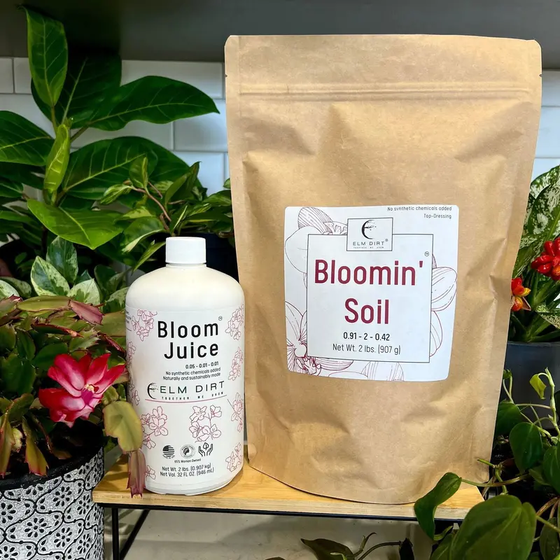 Elm Dirt Bloom Power Flowering Plant Care Bundle 1