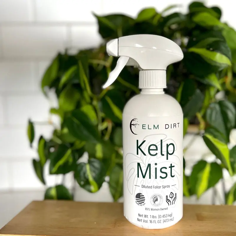Elm Dirt Kelp Mist – Cold-Processed Seaweed Foliar Spray For Vigor 1