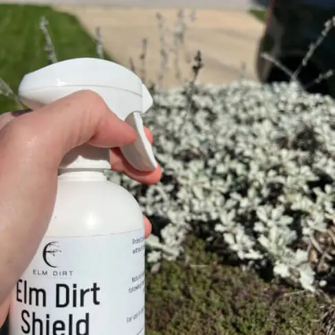 Elm Dirt’S Shield Natural Pesticide – Botanical Defense For Gardens & Homes 1