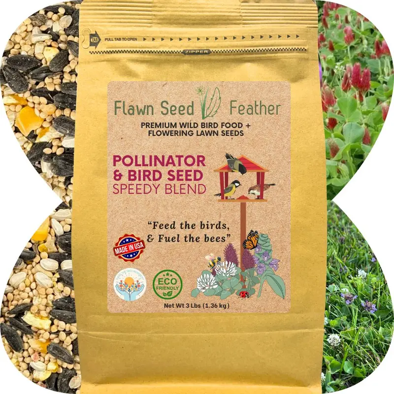 Fast-Germinating Pollinator & Bird Seed Blend 1