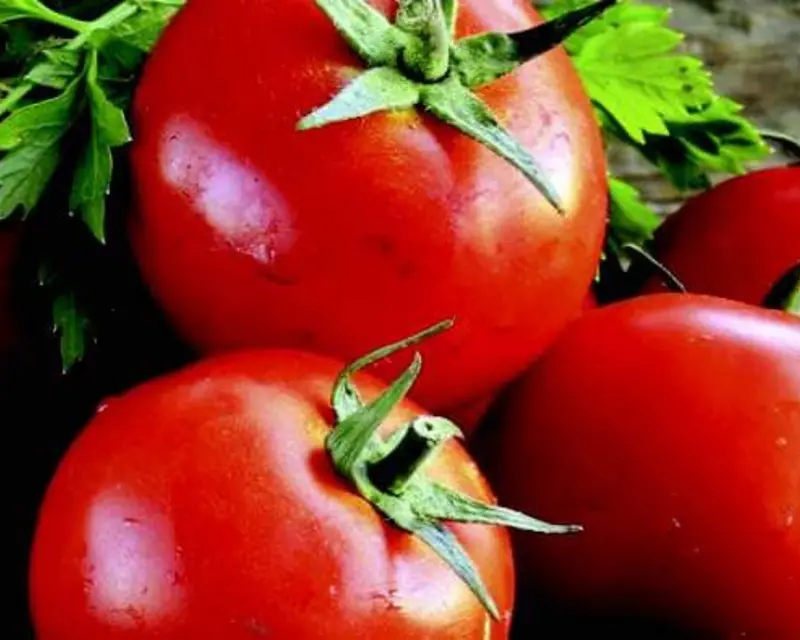 Goliath Early Hybrid Tomato Seeds – Large-Fruited, Fast-Maturing Variety 1