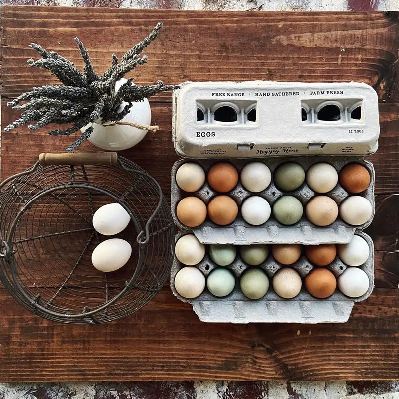 Henlay Custom-Stampable Egg Cartons – Blank Surface, Various Pack Sizes 1
