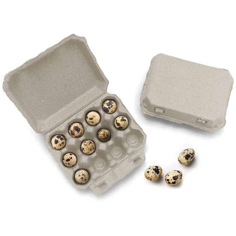 Henlay Quail Egg Cartons – 12-Count, 3×4 Grid, Bulk Quantities 1