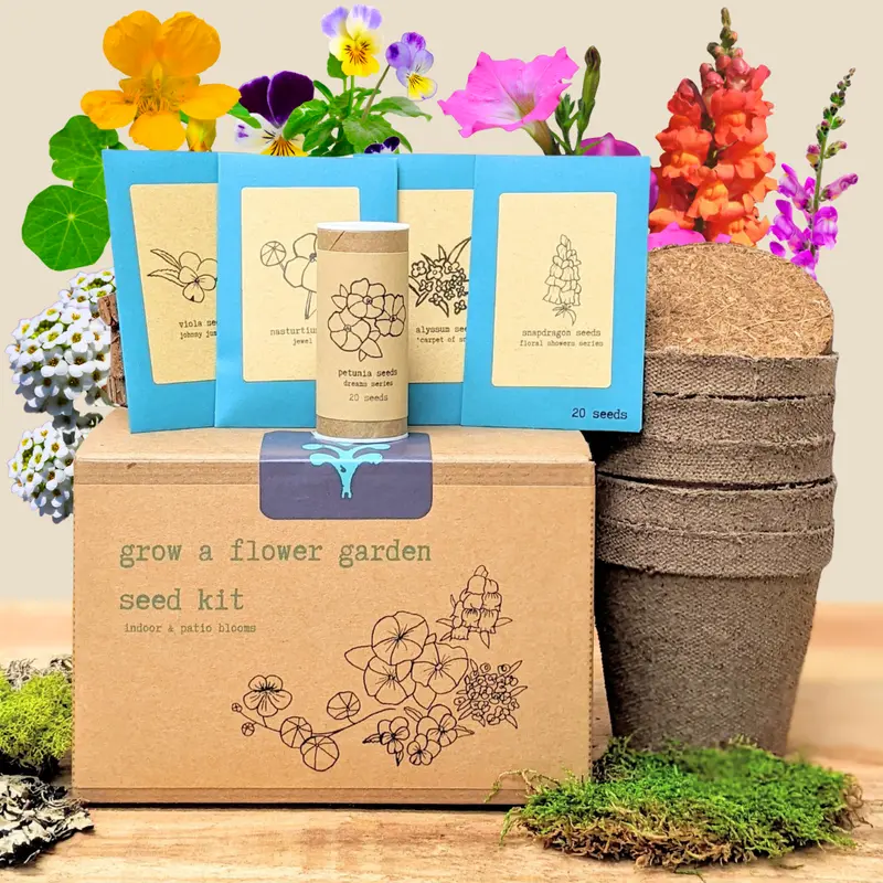 Indoor Flower Garden Seed Collection 1