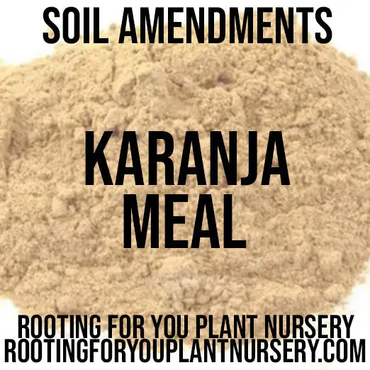Karanja Meal – Botanical Soil Booster With Natural Pest-Deterrent Properties 1