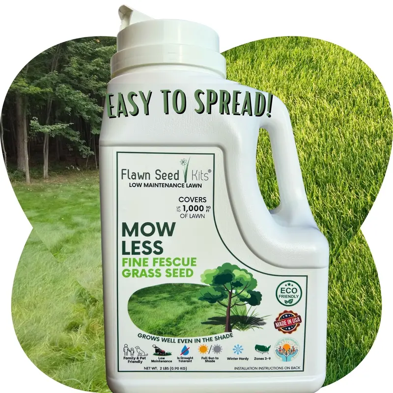 Low-Maintenance Lawn Grass Seed 4