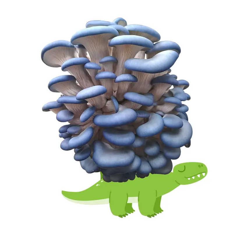 Mushasaurus Blue Oyster Mushroom Cultivation Kit (6.5 Lbs) 1