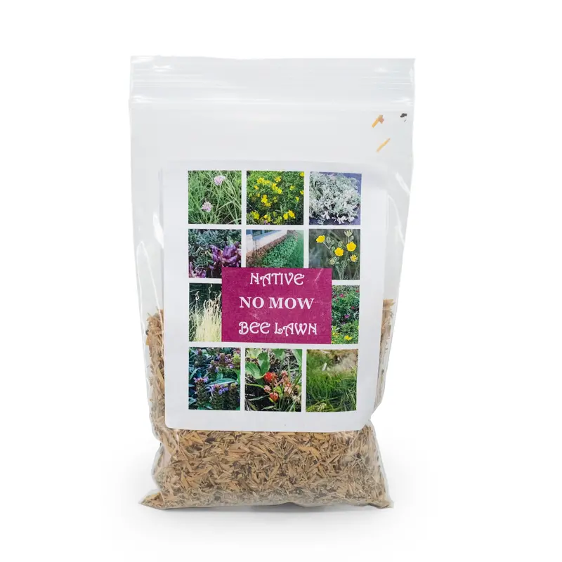 No-Mow Native Bee Lawn Seed Mix – 1.76 Oz, Pollinator-Friendly Prairie Blend 1
