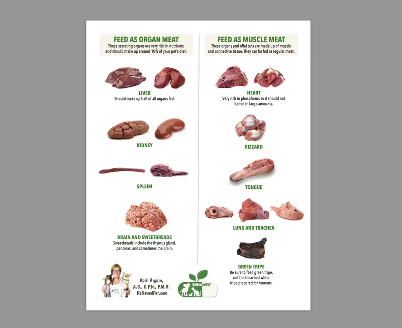 Nutrient-Rich Organ Meats Guide For Raw Pet Diets 1