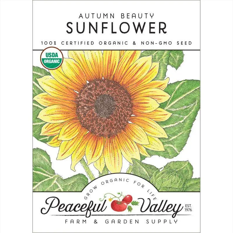 Organic Autumn Beauty Sunflower Seed Variety 1