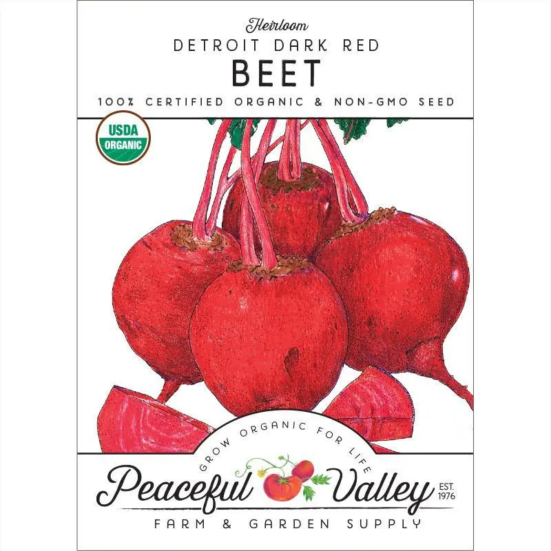 Organic Detroit Dark Red Beet Seeds 1