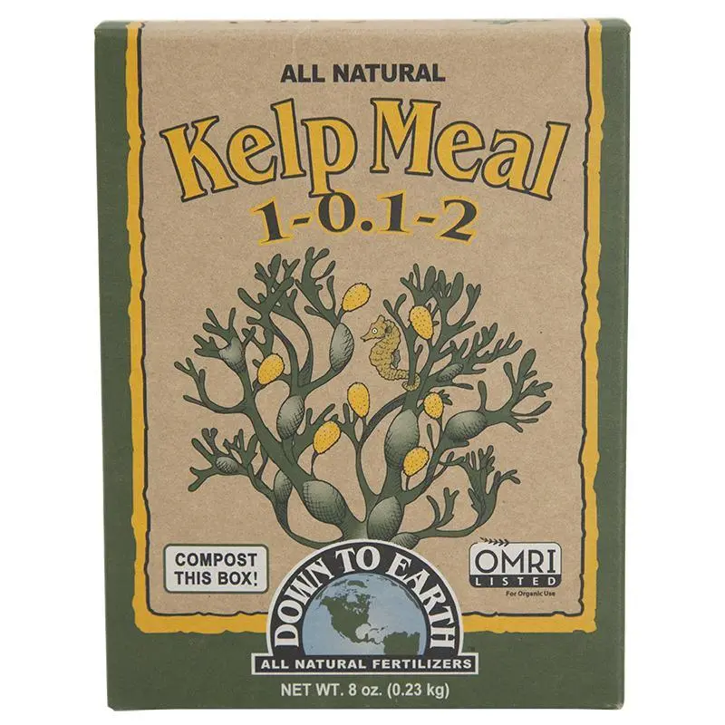 Organic Kelp Meal Fertilizer – 1-0.1-2 Npk, 0.5 Lb Box 1
