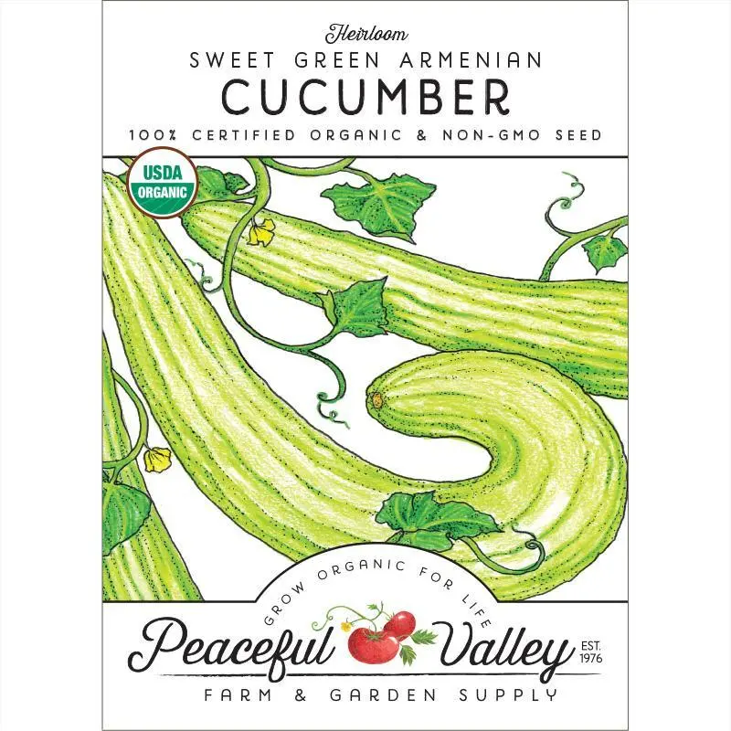 Organic Sweet Green Armenian Cucumber Seeds 1